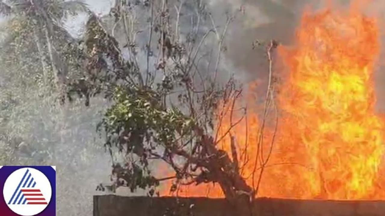 Bengaluru: Fire blazes down newly opened fish shop at Sampige road in Malleshwaram Bengaluru: Fire blazes down newly opened fish shop at Sampige road in Malleshwaram