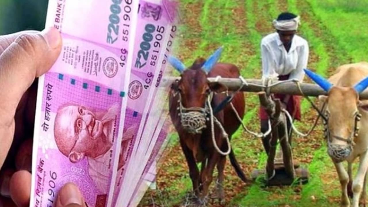pm kisan yojna 3.jpg pm kisan yojna 3.jpg