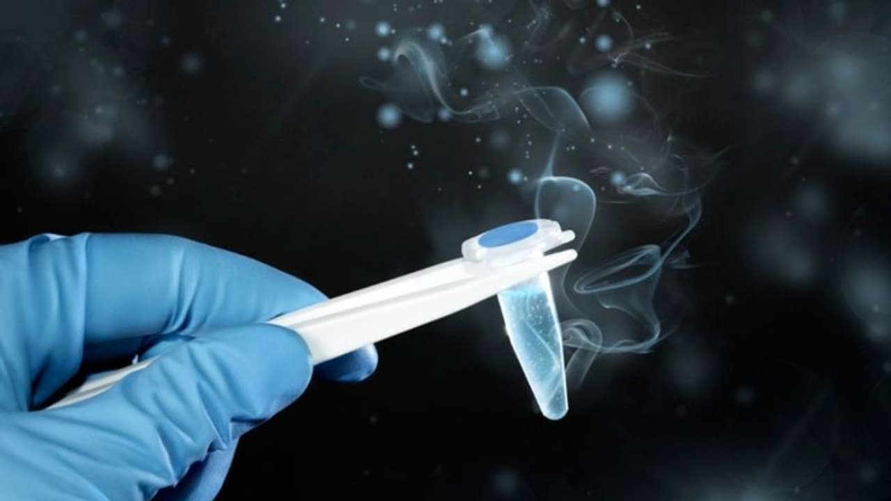 ശീതീകരിച്ച ഭ്രൂണത്തെ നിയമപരമായി 'കുട്ടികള്' ആയി തന്നെ കണക്കാക്കണമെന്ന് അമേരിക്കൻ കോടതി ശീതീകരിച്ച ഭ്രൂണത്തെ നിയമപരമായി 'കുട്ടികള്' ആയി തന്നെ കണക്കാക്കണമെന്ന് അമേരിക്കൻ കോടതി