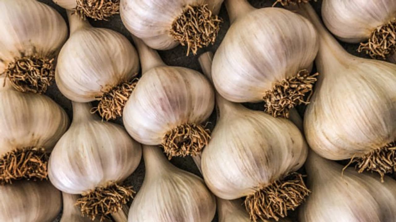 രാവിലെ വെറും വയറ്റില്‍ വെളുത്തുള്ളി ഇങ്ങനെ കഴിക്കൂ, ഗുണമുണ്ട്... 