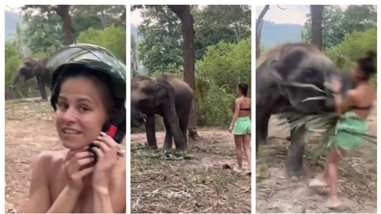 കൂട്ടുകൂടാനെത്തി പക്ഷേ കൂട്ടത്തിൽ കൂട്ടാതെ ആനക്കുട്ടി; ആനക്കുട്ടിയുടെ അടുത്തെത്തിയ പെണ്‍കുട്ടിയുടെ വീഡിയോ വൈറൽ