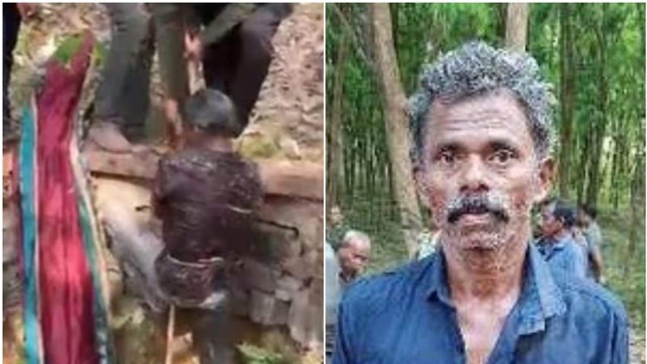 സിനിമയെ വെല്ലും നിമിഷങ്ങള്: വേട്ടക്കിടയില് പന്നി ആക്രമണം, വേട്ടക്കാരനും പിന്നാലെ പന്നിയും കിണറ്റില് സിനിമയെ വെല്ലും നിമിഷങ്ങള്: വേട്ടക്കിടയില് പന്നി ആക്രമണം, വേട്ടക്കാരനും പിന്നാലെ പന്നിയും കിണറ്റില്