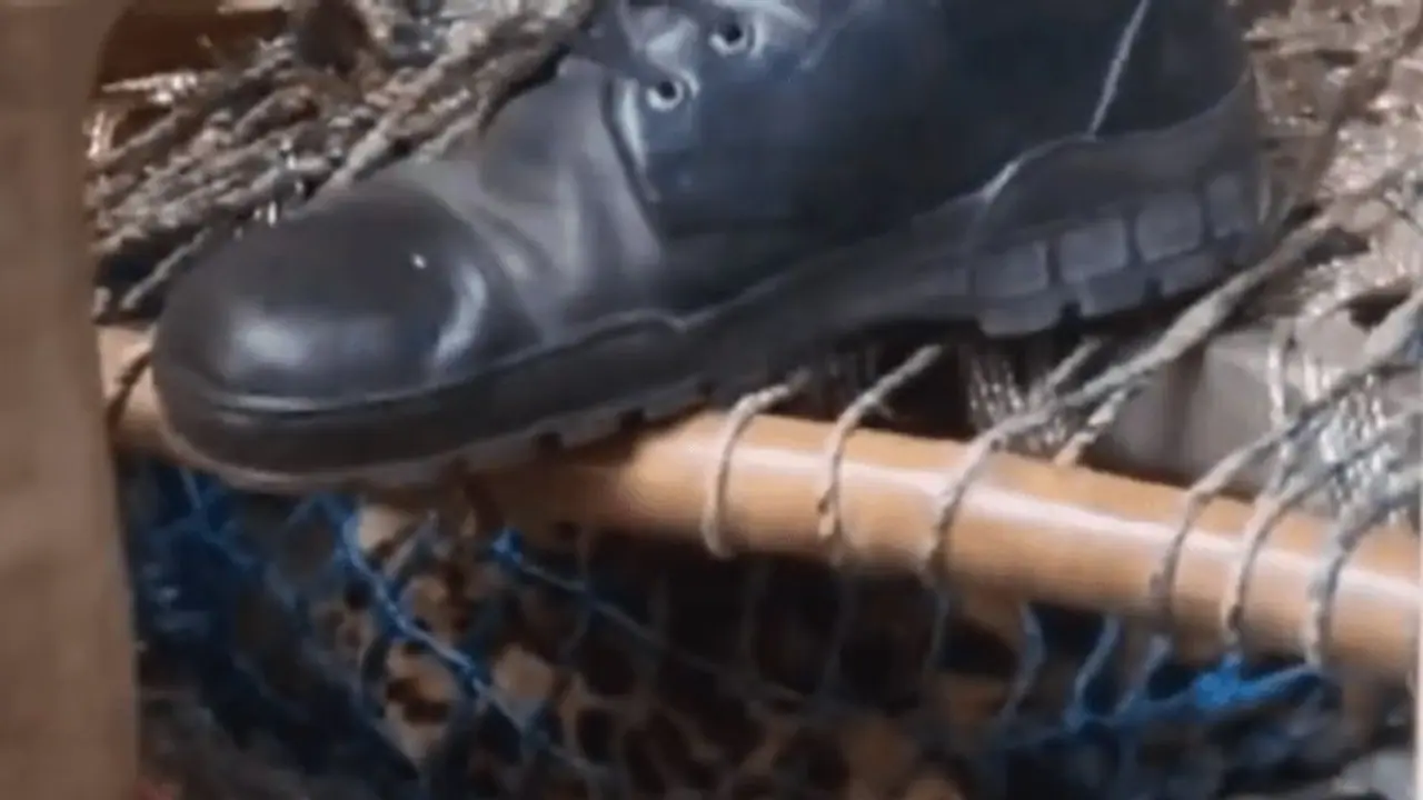 Viral video: Leopard succumbs during neutralization effort in Uttar Pradesh's Sambhal (WATCH)