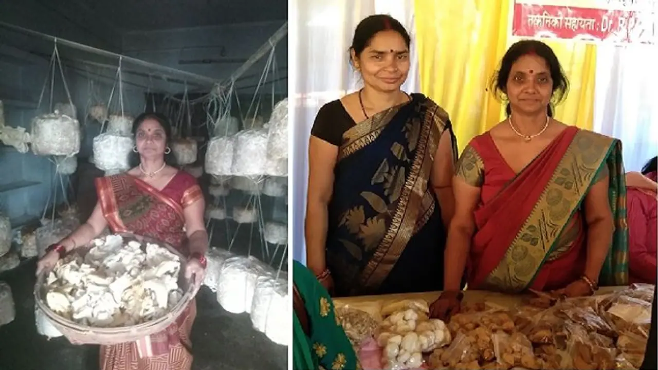 Remarkable journey of Rekha Devi, a homemaker from Bihar, who established a mushroom farming business
