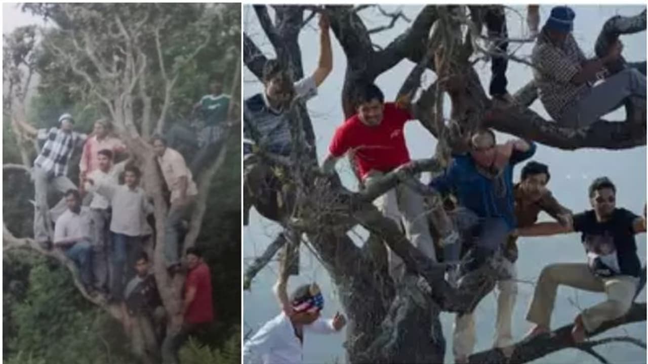 ഗുണ ഗുഹയിലെ ഭയാനക സംഭവത്തിന് ശേഷം 2006 ല് റിയല് മഞ്ഞുമ്മല് ബോയ്സിനെ കണ്ടിട്ടുണ്ടോ?; ഇതാ അപൂര്വ്വ വീഡിയോ.! ഗുണ ഗുഹയിലെ ഭയാനക സംഭവത്തിന് ശേഷം 2006 ല് റിയല് മഞ്ഞുമ്മല് ബോയ്സിനെ കണ്ടിട്ടുണ്ടോ?; ഇതാ അപൂര്വ്വ വീഡിയോ.!