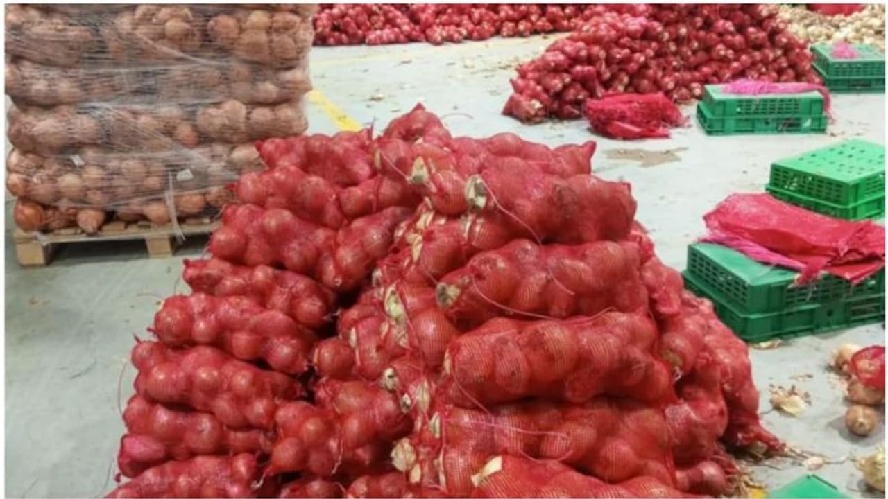 പൊന്നും വിലക്കിടെ പൂഴ്ത്തിവെപ്പും; കൂടിയ വിലയ്ക്ക് മറിച്ച് വിൽക്കാൻ ശ്രമം, പിടിച്ചെടുത്തത് എട്ട് ടൺ സവാള പൊന്നും വിലക്കിടെ പൂഴ്ത്തിവെപ്പും; കൂടിയ വിലയ്ക്ക് മറിച്ച് വിൽക്കാൻ ശ്രമം, പിടിച്ചെടുത്തത് എട്ട് ടൺ സവാള