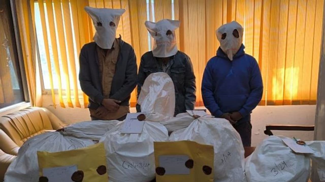 NCB on the lookout for a Tamil film producer, who is mastermind of over Rs 2000 crore drug trafficking network