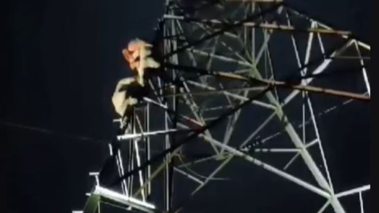 'സ്നേഹിക്കുന്ന പെൺകുട്ടിയെ സ്ഥലത്ത് എത്തിക്കണം', വൈദ്യുതി ടവറിൽ കയറി ആത്മഹത്യാ ഭീഷണി 'സ്നേഹിക്കുന്ന പെൺകുട്ടിയെ സ്ഥലത്ത് എത്തിക്കണം', വൈദ്യുതി ടവറിൽ കയറി ആത്മഹത്യാ ഭീഷണി