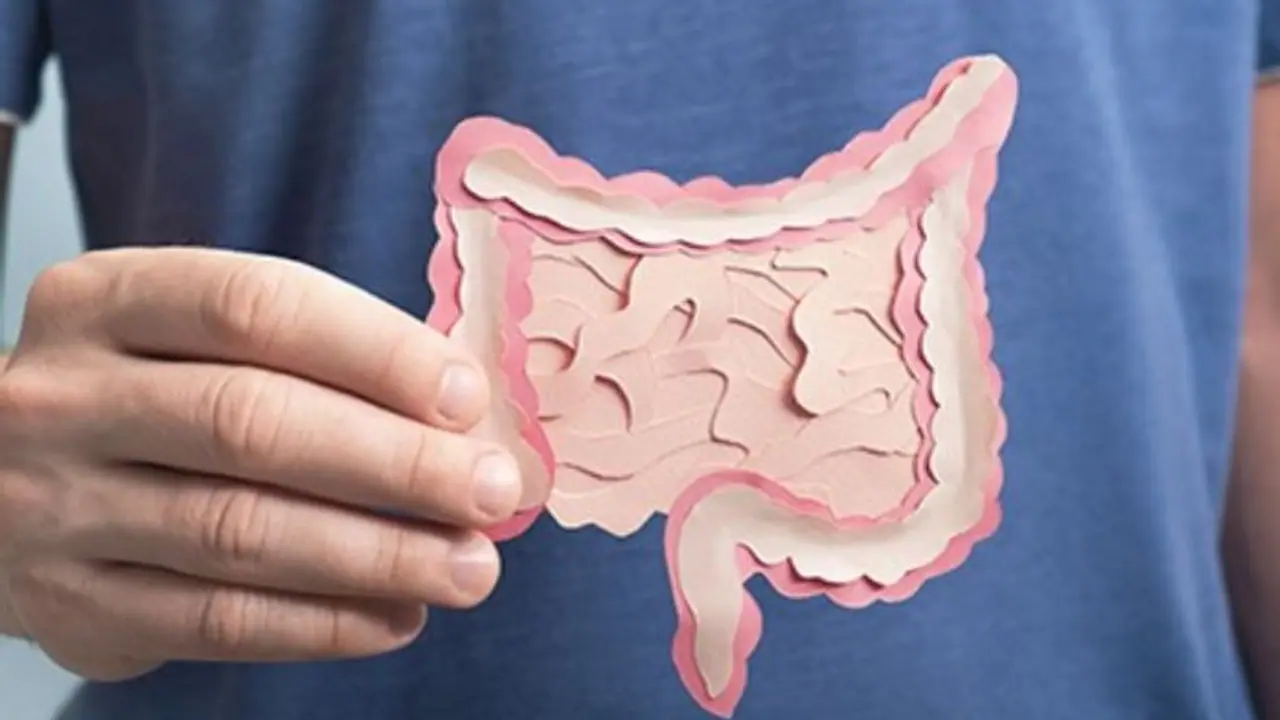 Heatwave in India: Excessive heat impacts your gut health, know how? Heatwave in India: Excessive heat impacts your gut health, know how?
