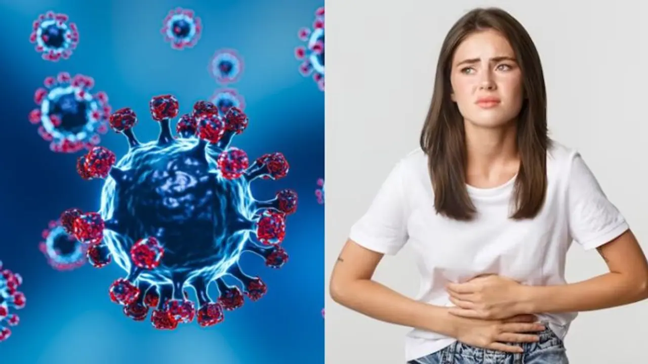 Norovirus: Symptoms to how does it spread, all you need to know about this virus Norovirus: Symptoms to how does it spread, all you need to know about this virus