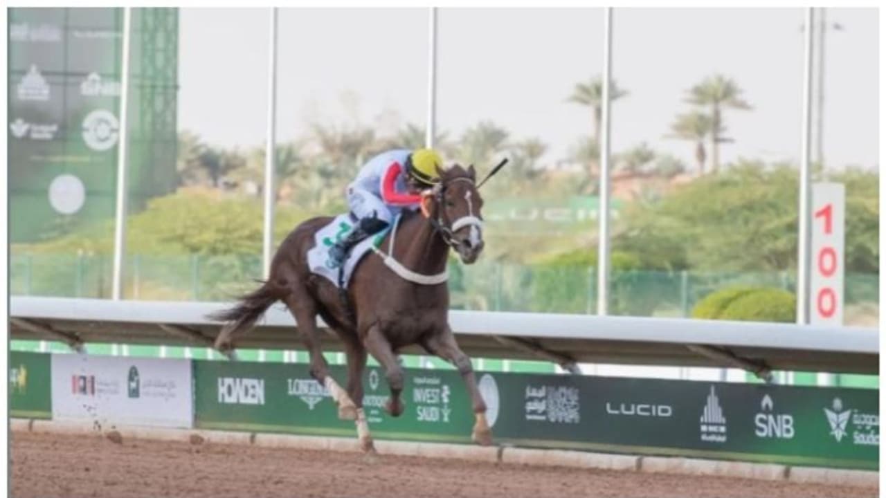 3.7 കോടി ഡോളറിന്റെ സമ്മാനങ്ങൾ വിതരണം ചെയ്ത് സൗദി കപ്പ് കുതിരയോട്ട മത്സരം സമാപിച്ചു 3.7 കോടി ഡോളറിന്റെ സമ്മാനങ്ങൾ വിതരണം ചെയ്ത് സൗദി കപ്പ് കുതിരയോട്ട മത്സരം സമാപിച്ചു