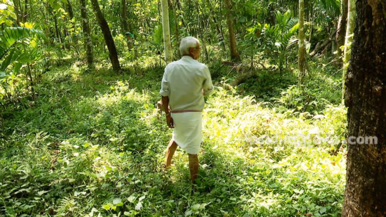 ഗിഫ്റ്റ് സിറ്റിക്ക് സ്ഥലമേറ്റെടുപ്പ്: കൃഷി കുറഞ്ഞു, കാട് കയറി വന്യജീവി ആക്രമണം കൂടി; താമസം മാറി നാട്ടുകാര് ഗിഫ്റ്റ് സിറ്റിക്ക് സ്ഥലമേറ്റെടുപ്പ്: കൃഷി കുറഞ്ഞു, കാട് കയറി വന്യജീവി ആക്രമണം കൂടി; താമസം മാറി നാട്ടുകാര്