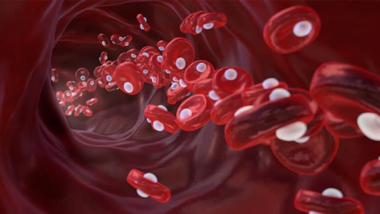 ഹീമോഗ്ലോബിന്റെ അളവ് കൂട്ടാൻ കഴിക്കാം ഈ പത്ത് പഴങ്ങള്... ഹീമോഗ്ലോബിന്റെ അളവ് കൂട്ടാൻ കഴിക്കാം ഈ പത്ത് പഴങ്ങള്...