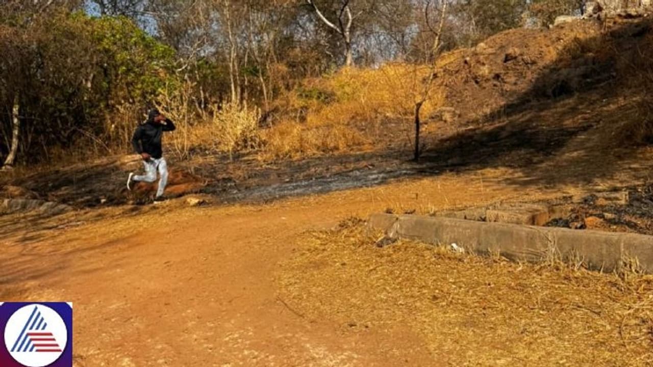 Bengaluru: Young woman allegedly molested by unknown assailant at Lalbagh, father shares his pic on X Bengaluru: Young woman allegedly molested by unknown assailant at Lalbagh, father shares his pic on X