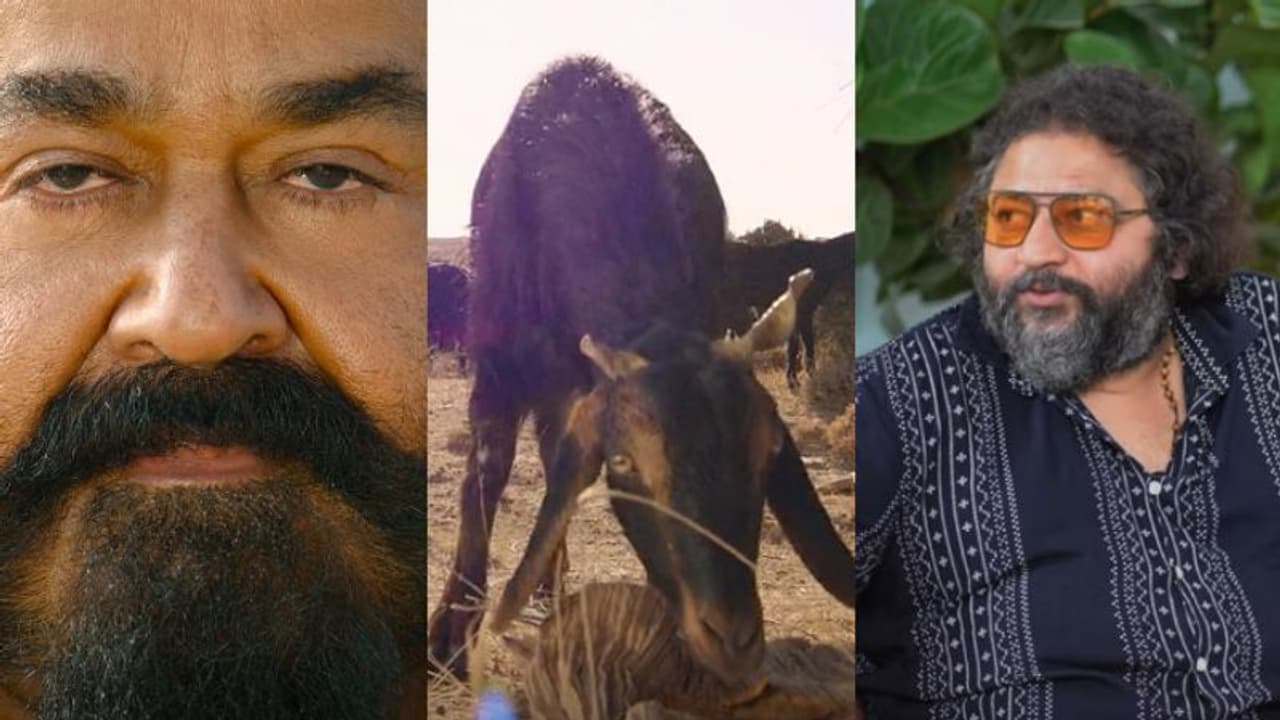 'വാലിബനിലെ ആട് ആക്ഷൻ പറഞ്ഞിട്ട് വന്നതല്ല', വെളിപ്പെടുത്തി ലിജോ ജോസ് പെല്ലിശ്ശേരി 'വാലിബനിലെ ആട് ആക്ഷൻ പറഞ്ഞിട്ട് വന്നതല്ല', വെളിപ്പെടുത്തി ലിജോ ജോസ് പെല്ലിശ്ശേരി