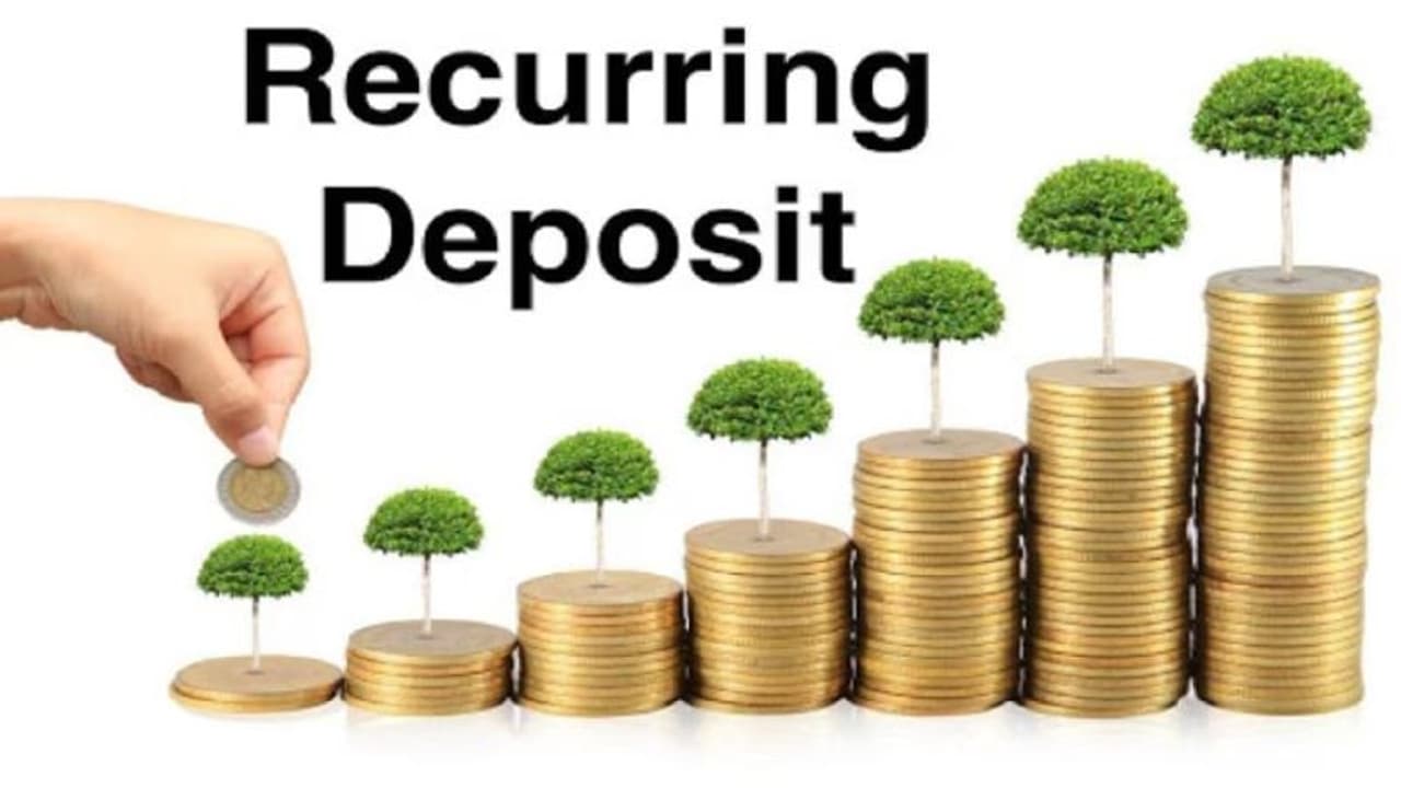 NSRDA திட்டம்.. குறைந்த முதலீட்டில் அதிக லாபம் தரும் சேமிப்பு திட்டம் எப்படி சேர்வது? இதன் பயன்கள் என்னென்ன? NSRDA திட்டம்.. குறைந்த முதலீட்டில் அதிக லாபம் தரும் சேமிப்பு திட்டம் எப்படி சேர்வது? இதன் பயன்கள் என்னென்ன?