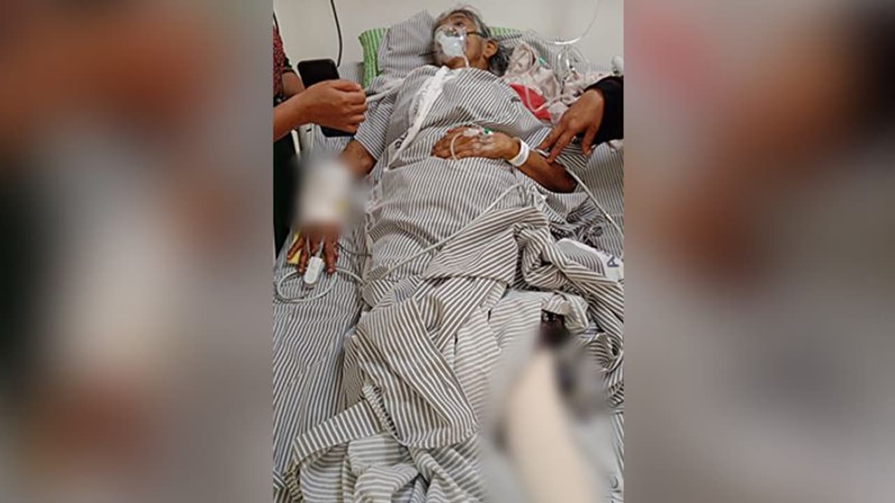 വീട്ടുമുറ്റത്ത് ജോലി ചെയ്തുകൊണ്ടിരുന്ന 74കാരിക്ക് നേരെ പാഞ്ഞടുത്ത് കാട്ടുപന്നി, ഗുരുതര പരിക്ക് വീട്ടുമുറ്റത്ത് ജോലി ചെയ്തുകൊണ്ടിരുന്ന 74കാരിക്ക് നേരെ പാഞ്ഞടുത്ത് കാട്ടുപന്നി, ഗുരുതര പരിക്ക്