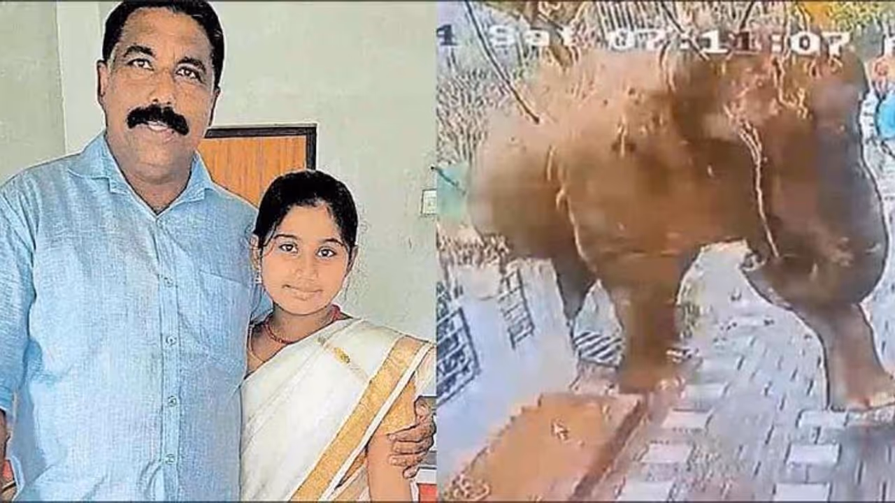 ರಾಜ್ಯದ ಪ್ರತಿಭಟನೆಗೆ ಬಗ್ಗಿದ ಸರ್ಕಾರ, ಆನೆ ದಾಳಿಯಿಂದ ಮೃತಪಟ್ಟ ವ್ಯಕ್ತಿಗೆ ಕೇರಳ ಕಾಂಗ್ರೆಸ್‌ನಿಂದ ಪರಿಹಾರ!