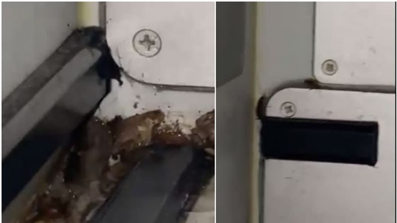 അയ്യേ ഇതെന്തോന്ന്, അറപ്പുളവാക്കുന്നു; വിമാനത്തിലെ അസാധാരണ കാഴ്ച പങ്കുവെച്ച് യാത്രക്കാരൻ, പ്രതികരിച്ച് ഇൻഡിഗോ