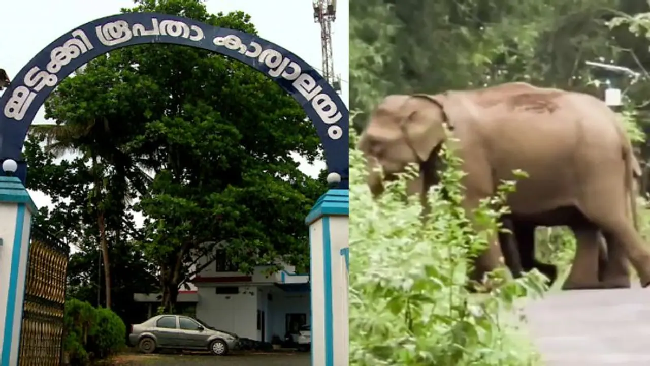 Kerala: Protest intensifies over death of elderly woman by wild elephant in Idukki Kerala: Protest intensifies over death of elderly woman by wild elephant in Idukki