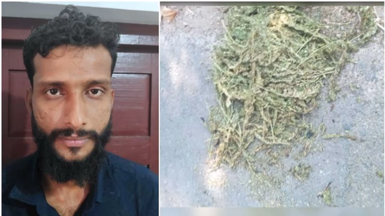 റോഡരികിൽ തീ, കത്തുന്നത് കഞ്ചാവ്, കാറിലെ ബോണറ്റിൽ നിന്ന് വലിച്ചെറിഞ്ഞത്; എല്ലാം കണ്ട് സിസിടിവി, അറസ്റ്റ് 