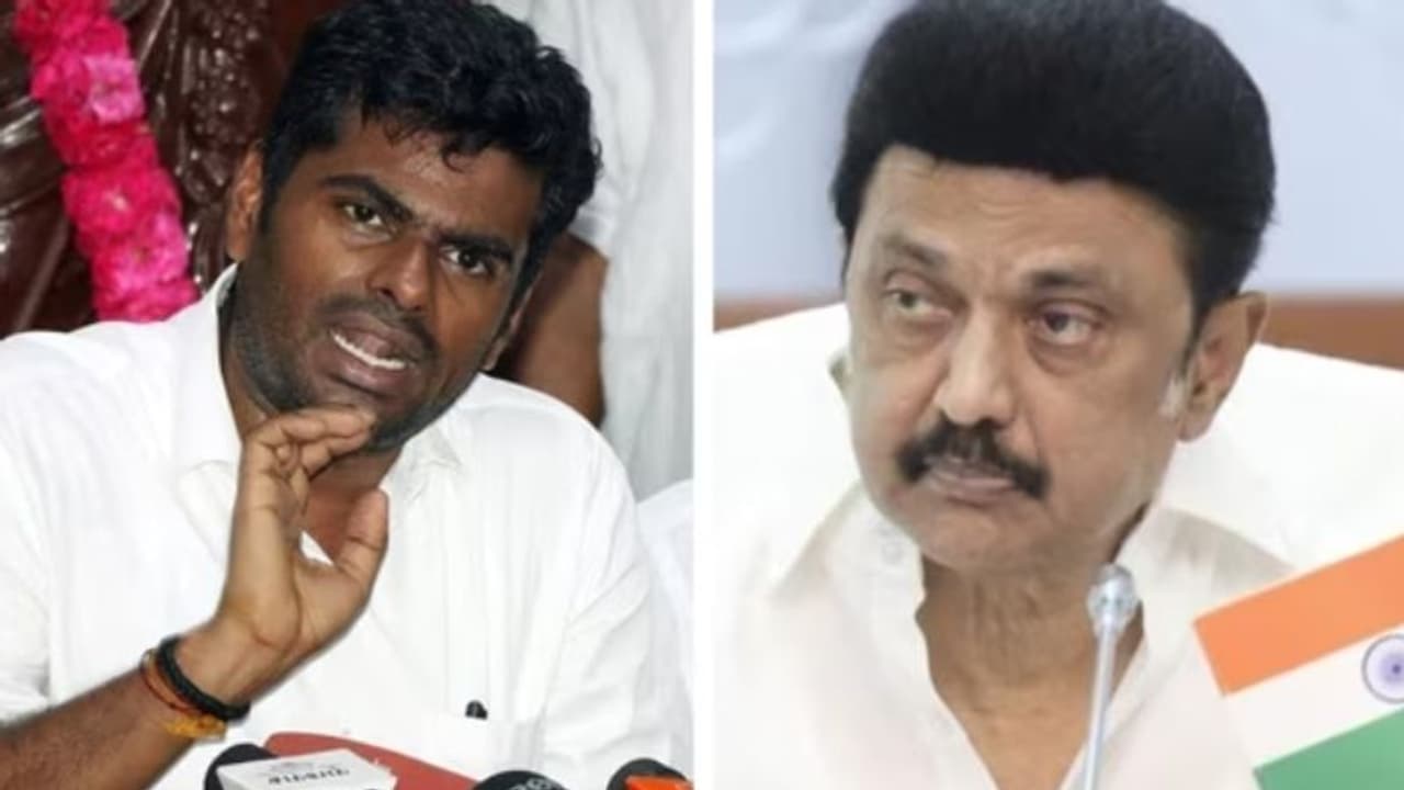 திமுகவுக்கு வேண்டப்பட்ட ரியல் எஸ்டேட் நிறுவனங்கள் லாபம் பார்க்கவே பத்திரப் பதிவு கட்டண உயர்வு! அண்ணாமலை பகீர்!