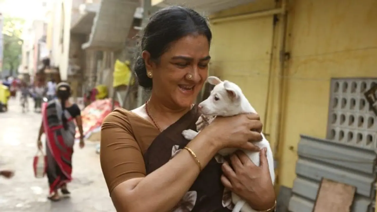 J Baby REVIEW: Is Urvashi, Dinesh's family entertainment worth watching? Read THIS J Baby REVIEW: Is Urvashi, Dinesh's family entertainment worth watching? Read THIS