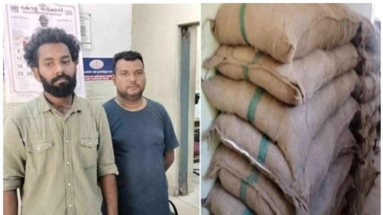 ഇറച്ചി മാലിന്യങ്ങൾക്കടിയിൽ രഹസ്യമായി 36 ചാക്കുകള്; പിക്കപ്പുമായി പന്തളത്ത് പിടിയിലായത് മലപ്പുറം സ്വദേശികൾ ഇറച്ചി മാലിന്യങ്ങൾക്കടിയിൽ രഹസ്യമായി 36 ചാക്കുകള്; പിക്കപ്പുമായി പന്തളത്ത് പിടിയിലായത് മലപ്പുറം സ്വദേശികൾ