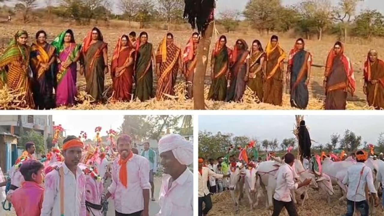 ವಿಜಯಪುರದ ನರಸಲಗಿ ಗ್ರಾಮದಲ್ಲಿ ವಿಶೇಷ "ಹಂತಿ ಹಬ್ಬ" ಆಚರಣೆ..! ವಿಜಯಪುರದ ನರಸಲಗಿ ಗ್ರಾಮದಲ್ಲಿ ವಿಶೇಷ "ಹಂತಿ ಹಬ್ಬ" ಆಚರಣೆ..!