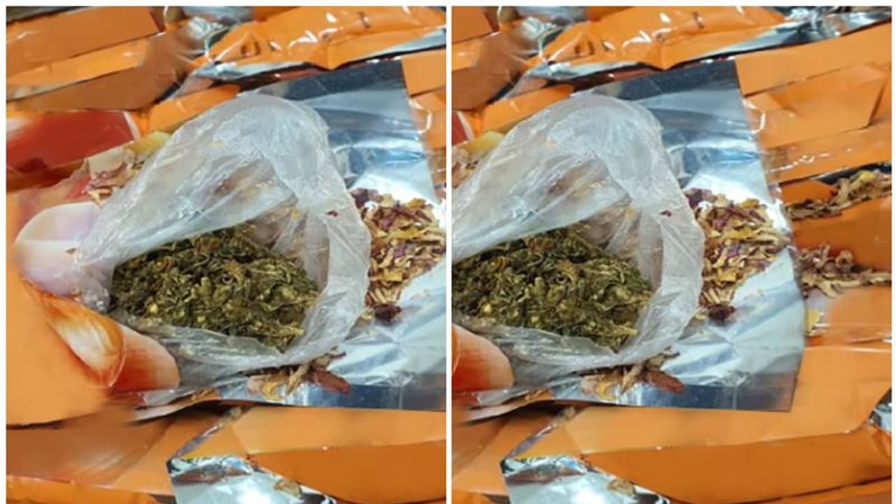 എത്തിയത് രണ്ട് കാര്ഗോ, പെട്ടിയില് സവാള, ഉദ്യോഗസ്ഥര്ക്ക് സംശയം; എക്സ്റേ പരിശോധനയിൽ കണ്ടെത്തിയത് കഞ്ചാവ് എത്തിയത് രണ്ട് കാര്ഗോ, പെട്ടിയില് സവാള, ഉദ്യോഗസ്ഥര്ക്ക് സംശയം; എക്സ്റേ പരിശോധനയിൽ കണ്ടെത്തിയത് കഞ്ചാവ്