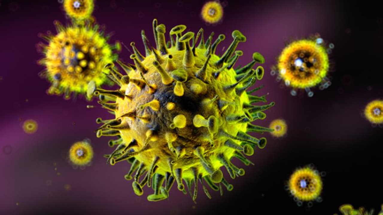 மூணு நாளில் உயிரைக் கொல்லும் ஆபத்தான வைரஸ்! சீன ஆய்வகத்தில் நடக்கும் விபரீத விளையாட்டு!
