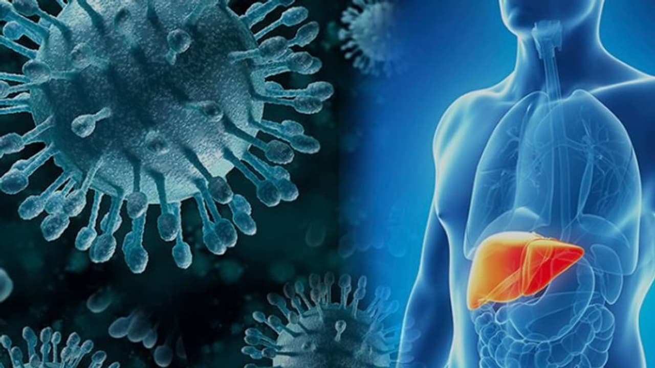 World Hepatitis Day 2024 : ഹെപ്പറ്റൈറ്റിസ് പിടിപെടാതെ നോക്കാം ; എന്തൊക്കെ ശ്രദ്ധിക്കണം? World Hepatitis Day 2024 : ഹെപ്പറ്റൈറ്റിസ് പിടിപെടാതെ നോക്കാം ; എന്തൊക്കെ ശ്രദ്ധിക്കണം?
