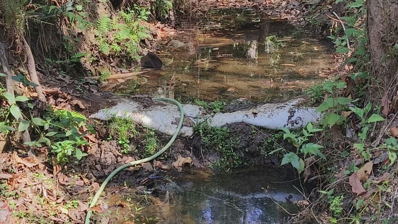 ಭದ್ರಾ ನದಿ ಹುಟ್ಟು ಕಳಸ ತಾಲೂಕಲ್ಲಿ ಹನಿ ನೀರಿಗೂ ಹಾಹಾಕಾರ: ಹಳ್ಳಿಗರು ಮಾಡಿಕೊಂಡ ಪೈಪ್ಲೈನ್ಗೆ ಏನಾಯ್ತು? ಭದ್ರಾ ನದಿ ಹುಟ್ಟು ಕಳಸ ತಾಲೂಕಲ್ಲಿ ಹನಿ ನೀರಿಗೂ ಹಾಹಾಕಾರ: ಹಳ್ಳಿಗರು ಮಾಡಿಕೊಂಡ ಪೈಪ್ಲೈನ್ಗೆ ಏನಾಯ್ತು?