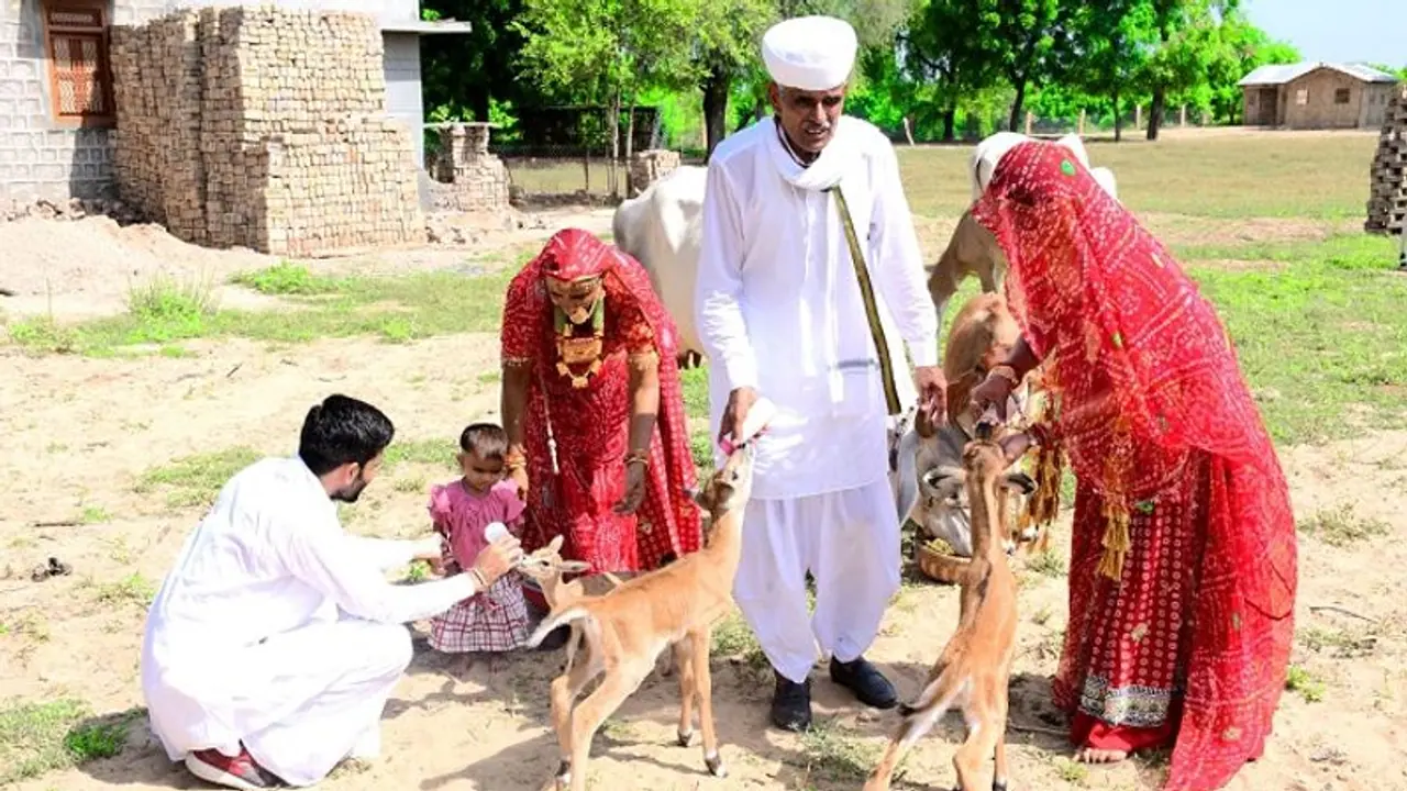 Exclusive: राजस्थान के इस पंक्चर बनाने वाले ने बचाए 3500 Wildlife, घायल जानवरों के हैं मसीहा
