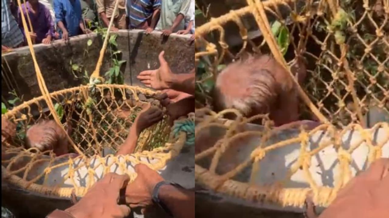 ആടിനെ രക്ഷിക്കാനിറങ്ങി അധ്യാപകന് കിണറ്റില് കുടുങ്ങി, ഇറങ്ങിയ സുഹൃത്തും പെട്ടു; ഒടുവില് രക്ഷയായി ഫയര്ഫോഴ്സ് ആടിനെ രക്ഷിക്കാനിറങ്ങി അധ്യാപകന് കിണറ്റില് കുടുങ്ങി, ഇറങ്ങിയ സുഹൃത്തും പെട്ടു; ഒടുവില് രക്ഷയായി ഫയര്ഫോഴ്സ്