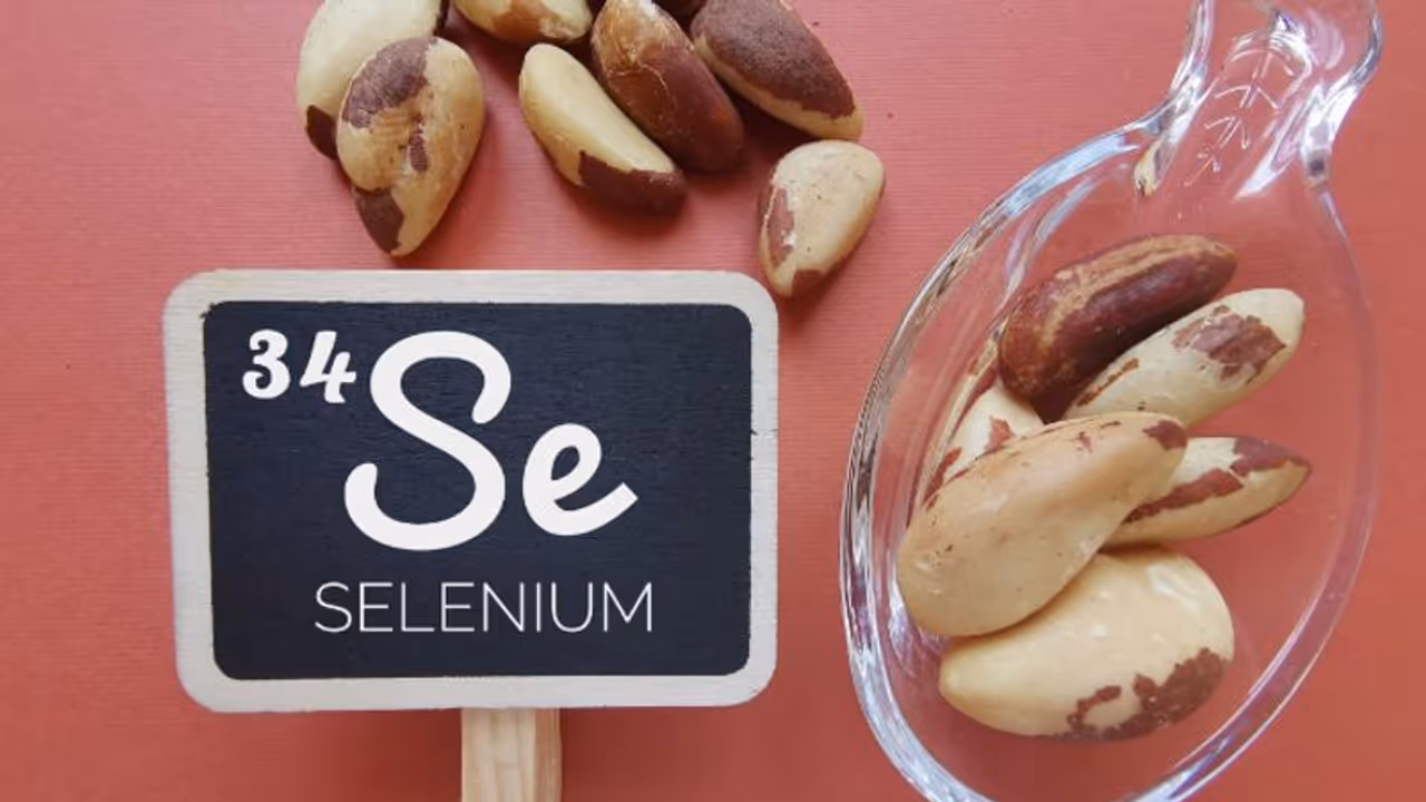 സെലീനിയം അടങ്ങിയ ഈ ഭക്ഷണങ്ങള് കഴിക്കൂ, ഗുണമുണ്ട്... സെലീനിയം അടങ്ങിയ ഈ ഭക്ഷണങ്ങള് കഴിക്കൂ, ഗുണമുണ്ട്...
