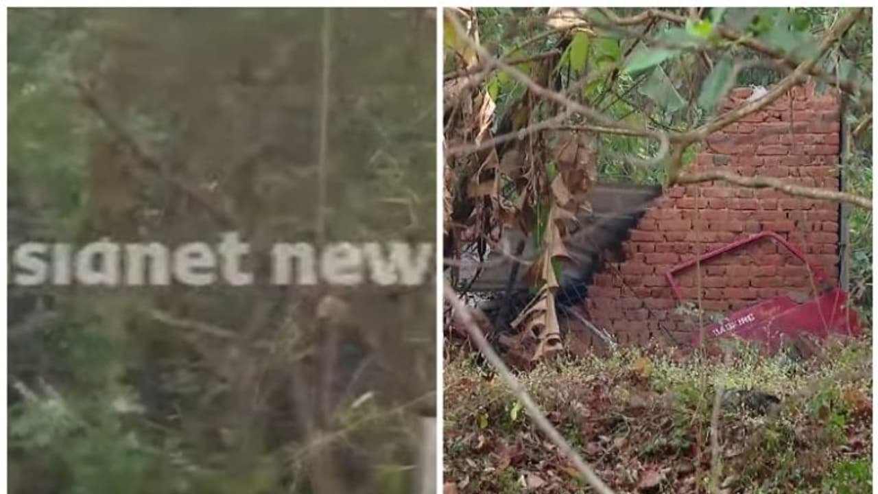 Kerala: Elephant runs amok in Palakkad; one injured, several houses damaged