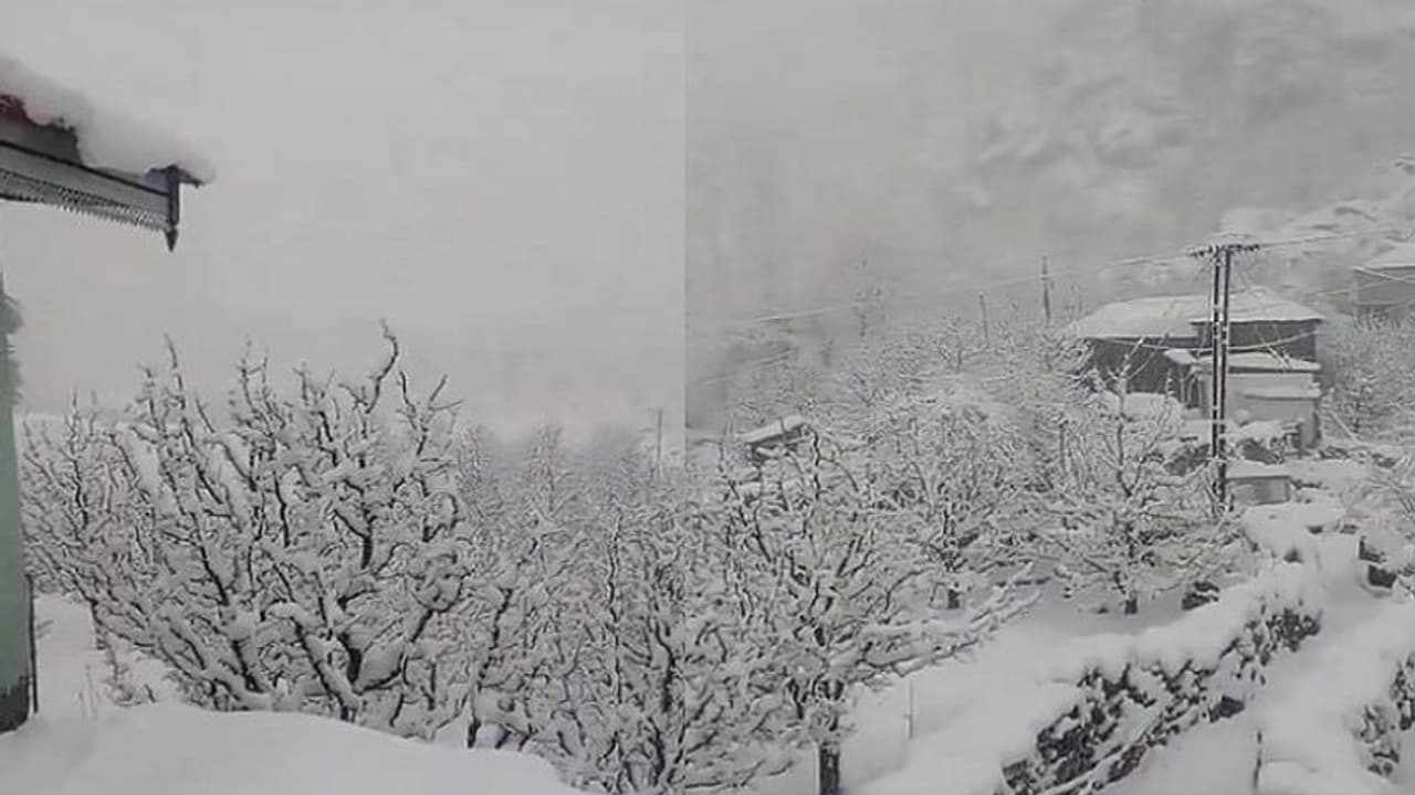  హిమాచల్ లో భారీ హిమపాతం.. చీనాబ్ నది ప్రవాహానికి అంతరాయం.. 650 రోడ్లు క్లోజ్