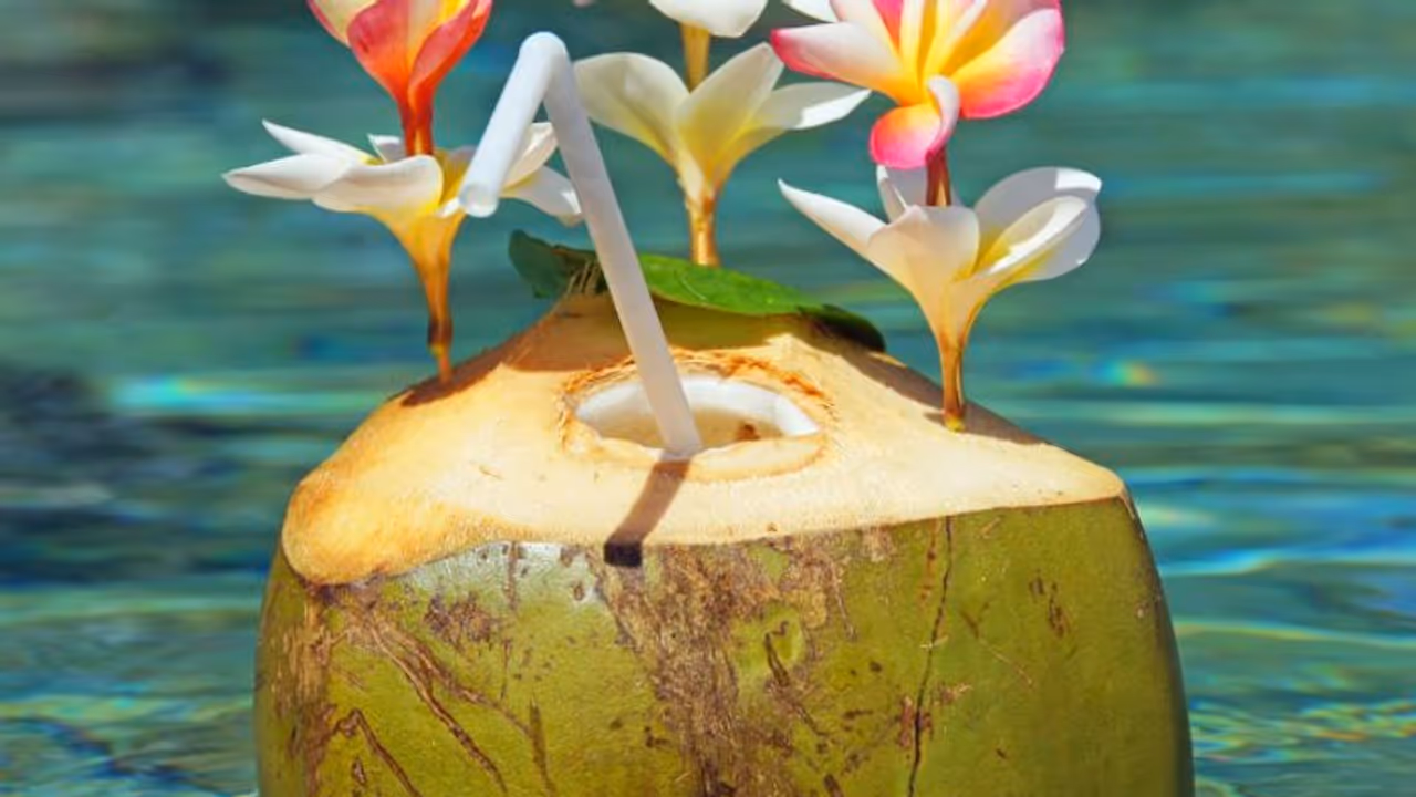 പൊള്ളുന്ന ചൂടില് ശരീരം തണുപ്പിക്കാന് ഡയറ്റില് ഉള്പ്പെടുത്താം ഈ ആറ് ഭക്ഷണങ്ങള്... പൊള്ളുന്ന ചൂടില് ശരീരം തണുപ്പിക്കാന് ഡയറ്റില് ഉള്പ്പെടുത്താം ഈ ആറ് ഭക്ഷണങ്ങള്...