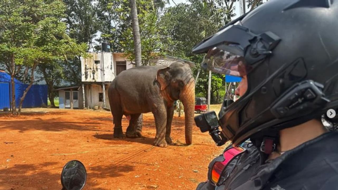 63 രാജ്യങ്ങള്‍ പിന്നിട്ടു! ഇന്ത്യയില്‍ കൂട്ടമാനഭംഗത്തിന് ഇരയായി; വിദേശി യുവതിയോട് മാപ്പ് പറഞ്ഞ് സോഷ്യല്‍ മീഡിയ