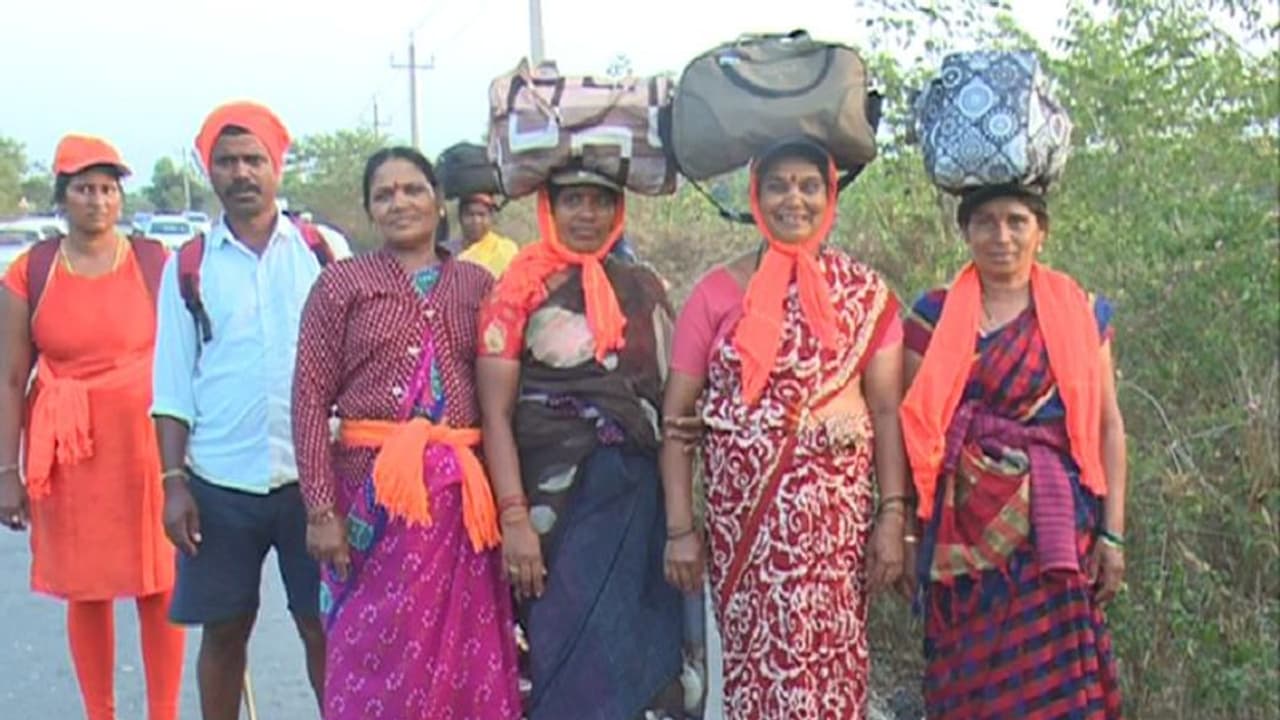 Chikkamagaluru: ಶಿವರಾತ್ರಿ ಹಬ್ಬಕ್ಕೆ ಲಕ್ಷಾಂತರ ಭಕ್ತರ ಪಾದಯಾತ್ರೆ: ಸ್ಥಳೀಯರಿಂದ ಉಚಿತ ಊಟದ ವ್ಯವಸ್ಥೆ! Chikkamagaluru: ಶಿವರಾತ್ರಿ ಹಬ್ಬಕ್ಕೆ ಲಕ್ಷಾಂತರ ಭಕ್ತರ ಪಾದಯಾತ್ರೆ: ಸ್ಥಳೀಯರಿಂದ ಉಚಿತ ಊಟದ ವ್ಯವಸ್ಥೆ!