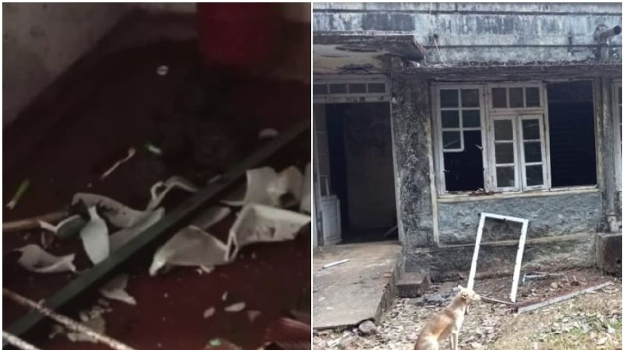 അതിരപ്പിള്ളി പ്ലാന്റേഷൻ കോർപറേഷൻ വെൽഫയർ ഓഫീസറുടെ വീട് കാട്ടാനയാക്രമണത്തിൽ തകർന്നു അതിരപ്പിള്ളി പ്ലാന്റേഷൻ കോർപറേഷൻ വെൽഫയർ ഓഫീസറുടെ വീട് കാട്ടാനയാക്രമണത്തിൽ തകർന്നു