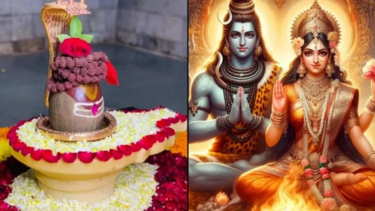 Mahashivratri 2024: भूलकर भी महाशिवरात्रि पर भी ना करें ये गलतियां, नहीं मिलेगा व्रत का फल 