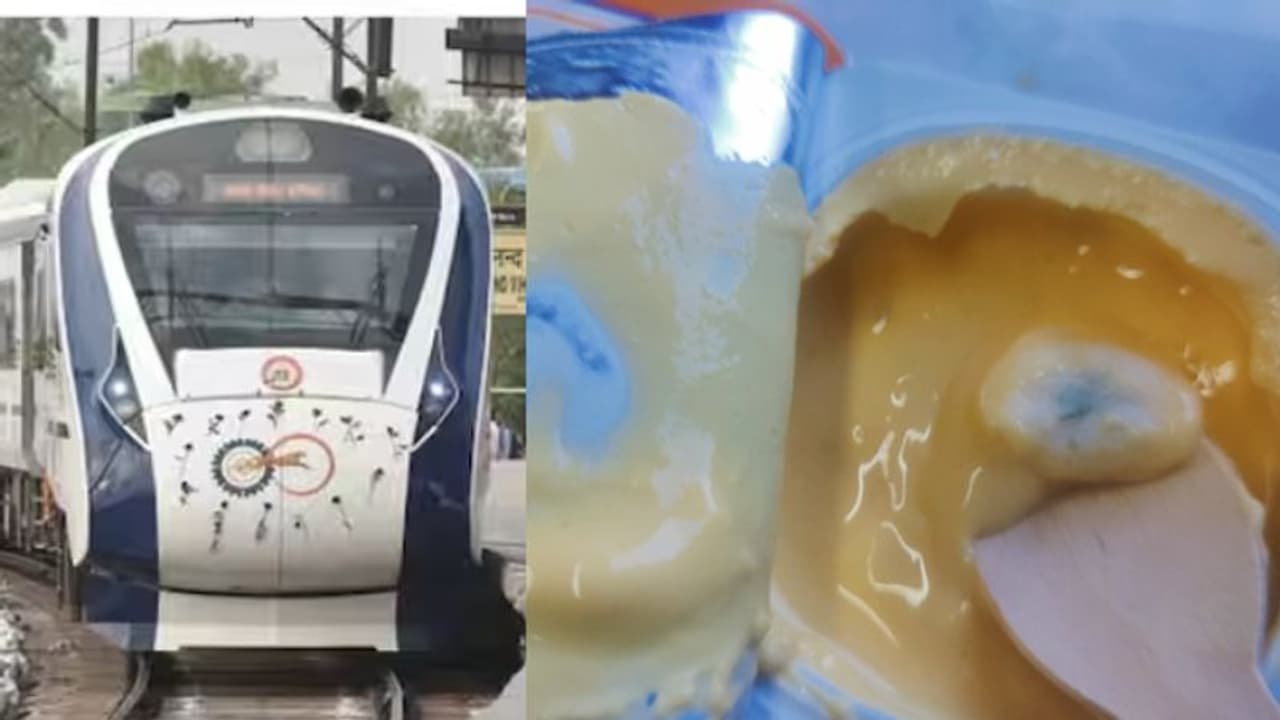 വന്ദേഭാരത് എക്സിക്യൂട്ടീവ് കോച്ചിലെ യാത്രക്കാരന് ഭക്ഷണത്തിനൊപ്പം ലഭിച്ച തൈരിൽ പൂപ്പൽ, ചിത്രങ്ങളുമായി യുവാവ് വന്ദേഭാരത് എക്സിക്യൂട്ടീവ് കോച്ചിലെ യാത്രക്കാരന് ഭക്ഷണത്തിനൊപ്പം ലഭിച്ച തൈരിൽ പൂപ്പൽ, ചിത്രങ്ങളുമായി യുവാവ്