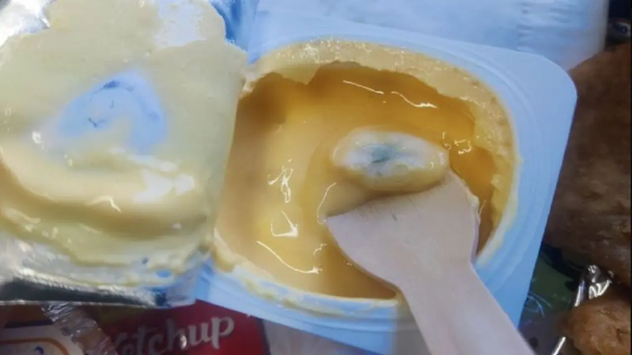 SHOCKING! Fungus infested yoghurt served on Vande Bharat Express, Railways respond to viral post