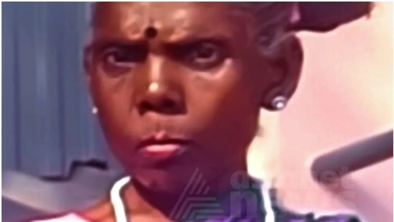 Human animal conflict continues in Kerala; Tribal woman killed in wild elephant attack in Thrissur Human animal conflict continues in Kerala; Tribal woman killed in wild elephant attack in Thrissur