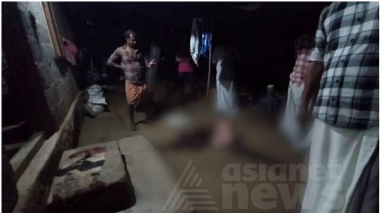 പാലക്കാട് മകൻ അച്ഛനെ മഴു കൊണ്ട് വെട്ടിക്കൊന്നു; കൊലപാതകം മദ്യലഹരിയില്‍, പ്രതി ഒളിവില്‍