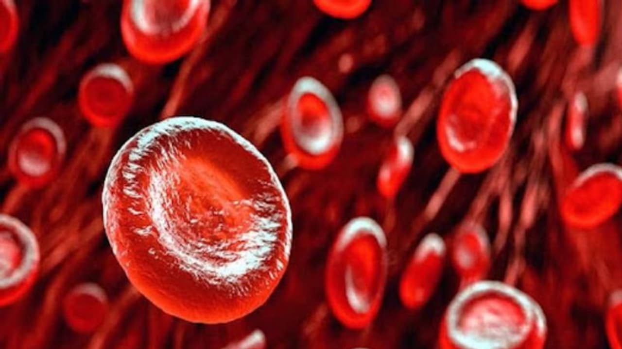 രക്തം ശുദ്ധീകരിക്കാൻ സഹായിക്കും ഈ എട്ട് ഭക്ഷണങ്ങൾ... രക്തം ശുദ്ധീകരിക്കാൻ സഹായിക്കും ഈ എട്ട് ഭക്ഷണങ്ങൾ...