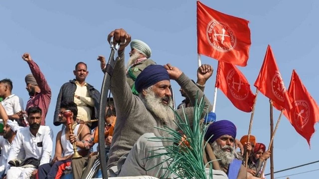 'ಖಡ್ಗ ಹಿಡಿದು ಯಾರು ಶಾಂತಿಯುತ ಪ್ರತಿಭಟನೆ ಮಾಡ್ತಾರೆ..' ರೈತ ನಾಯಕರಿಗೆ ಚಾಟಿ ಬೀಸಿದ ಪಂಜಾಬ್ ಹೈಕೋರ್ಟ್! 'ಖಡ್ಗ ಹಿಡಿದು ಯಾರು ಶಾಂತಿಯುತ ಪ್ರತಿಭಟನೆ ಮಾಡ್ತಾರೆ..' ರೈತ ನಾಯಕರಿಗೆ ಚಾಟಿ ಬೀಸಿದ ಪಂಜಾಬ್ ಹೈಕೋರ್ಟ್!