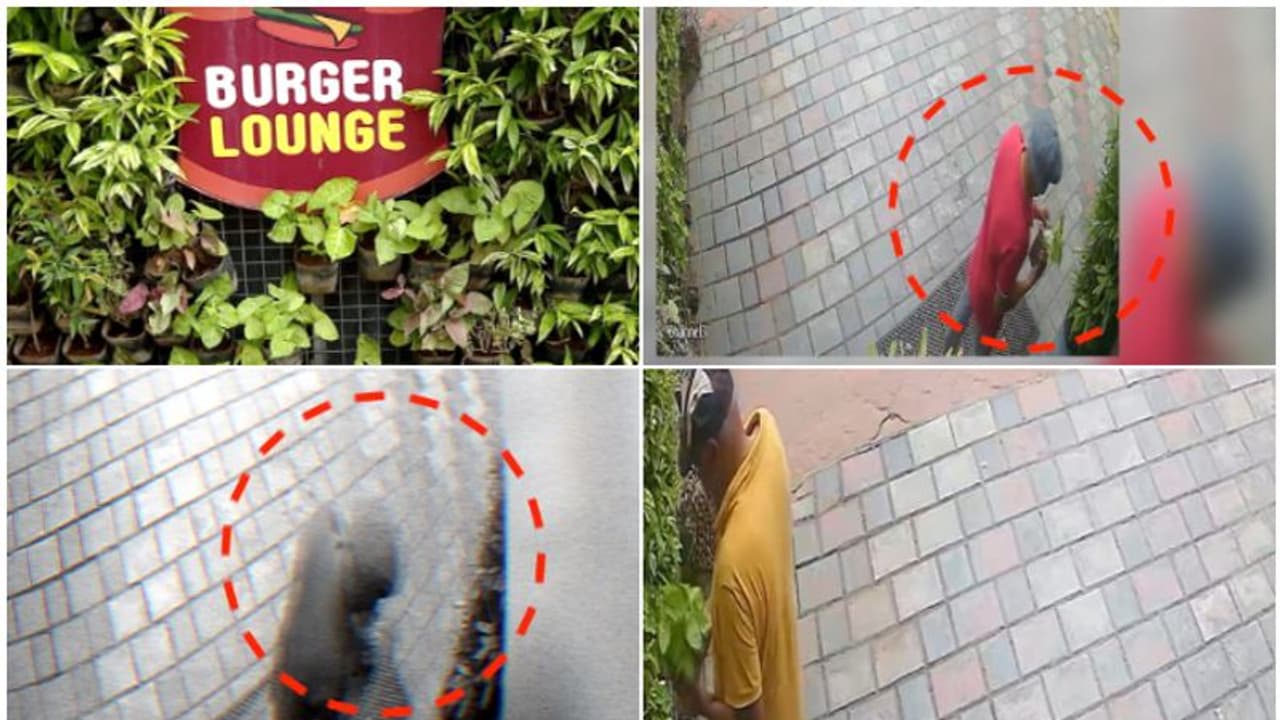 മുഖം പതിഞ്ഞ വീഡിയോ ഉണ്ട്, ഇതുവരെ പരാതി നൽകിയിട്ടില്ല, ഇനി വന്നാൽ..., കൊല്ലത്തെ ബർഗർ ലോഞ്ച് മുതലാളി പറയുന്നു!